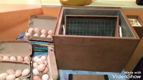 "Блиц" 48 *7 Инкубатор. Закладываем яйца в Инкубатор. - YouTube