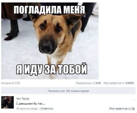 Прикольные комментарии из соцсетей (23 фото) - 01-03-2017