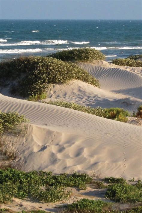 7 beautiful beaches along the gulf coast – Artofit