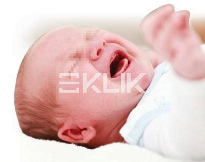 urutan bayi klik