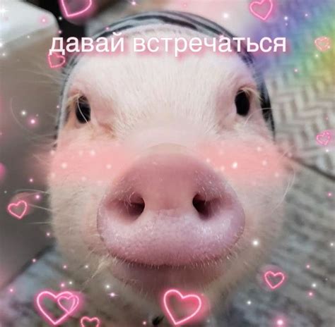 Пикчи для второй половинки | Sweet memes, Love pictures, Hippie wall