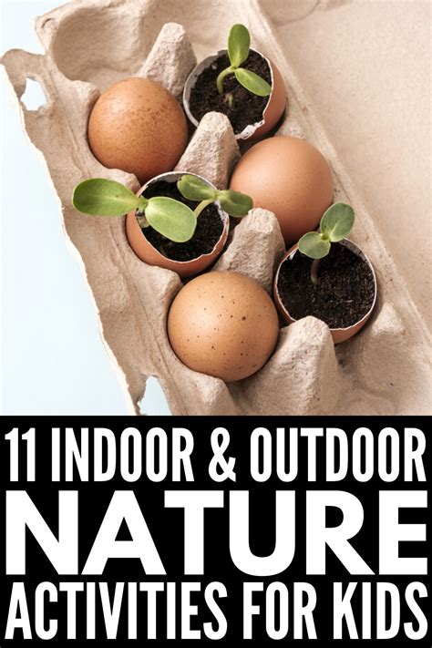 stem  nature activities artofit