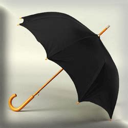 48 Inch Fashion Umbrella – Premium Quality Umbrellas