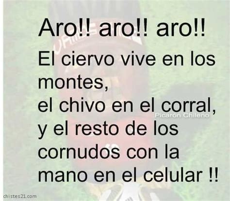 Aro, aro, aro | Frases | Chistes, Frases divertidas y Dichos y frases