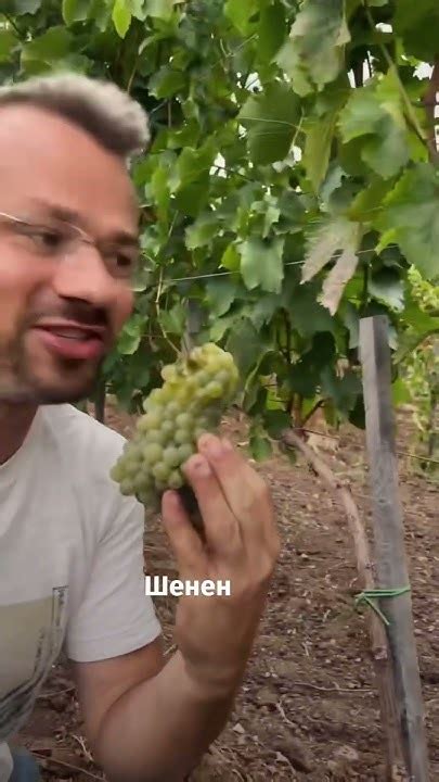 Легендарный Шенен Блан - YouTube