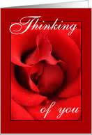 Romantic Thinking of You Cards from Greeting Card Universe