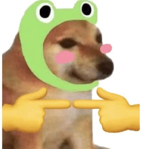 view  discord funny pfp meme bimwasuct