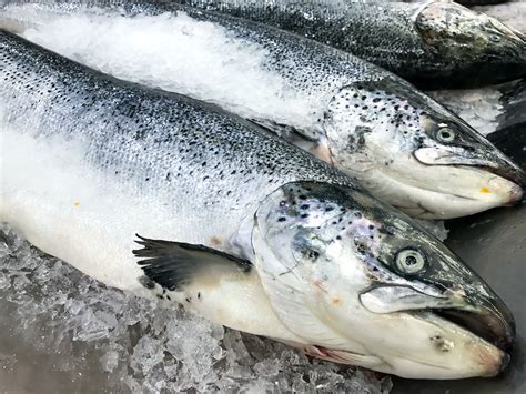 Comment choisir le saumon, le poisson préféré des français.