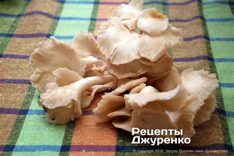 Том кха кай - суп