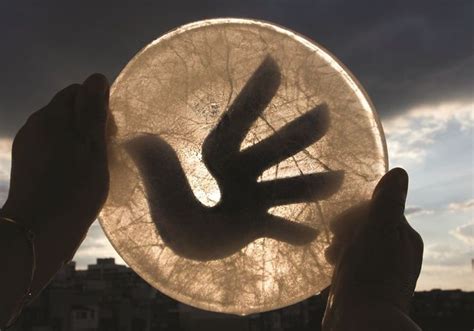 The Universal Logo Of Human Rights | Униеверсален символ на правата на ...