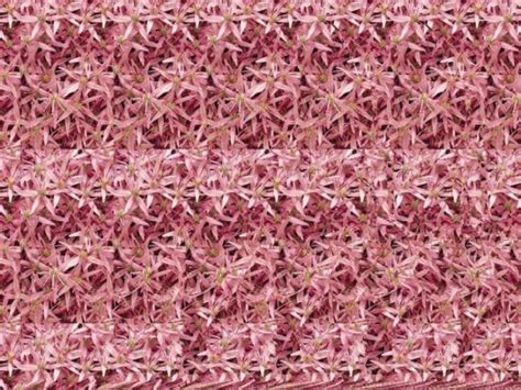 Autostereogram (100 pics)