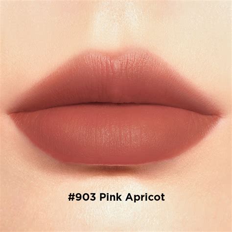 perfect diary biolip essence lip stain matte lipstick perfect diary