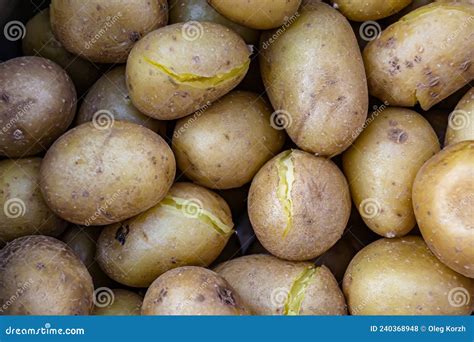 Photography To Theme Large Beautiful Baked Plain Potato Stock Photo ...