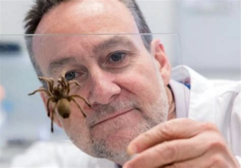 Melhor Veneno Para Aranha - Veneno de aranha pode prevenir ataques cardíacos, diz pesquisa | Só ...
