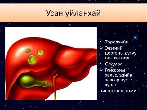 элэг
