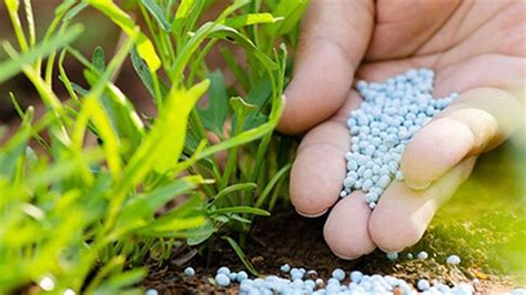 Agrochemicals – AnaidChem.com