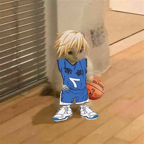Kise Ryouta Cat | Баскетболисты, Баскетбол куроко, Смешные рожи