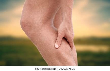 flexor tendon stock   images shutterstock