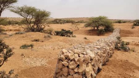 Drought in Somalia: 13 liters per person for an entire month | CARE ...