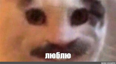 Мем: "люблю" - Все шаблоны - Meme-arsenal.com