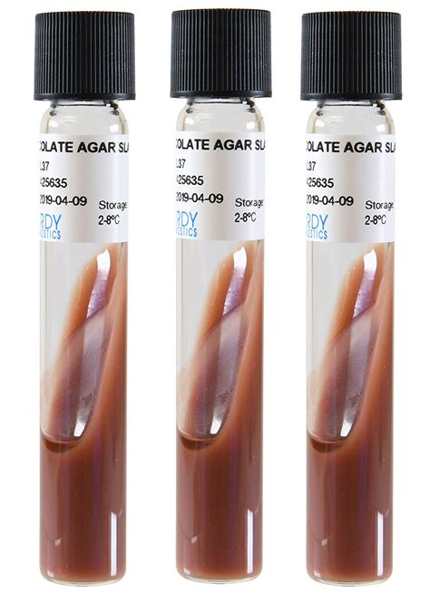 chocolate  composition preparation  microbe