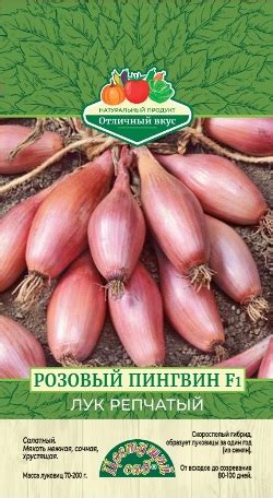 Лук репчатый Розовый Пингвин 0,3г