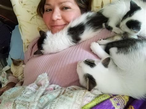 I became a cat trap. : r/TheCatTrapIsWorking