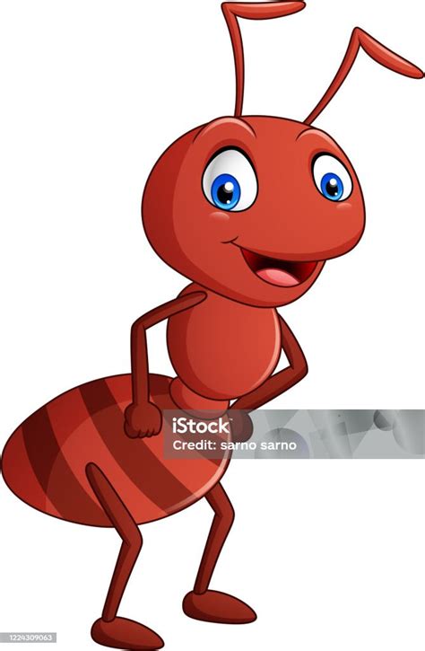 kartun semut lucu ilustrasi stok  gambar  semut alam