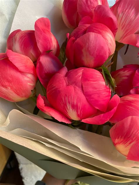 Коралловые пионы - купить в СПБ с доставкой в Kraft Flowers