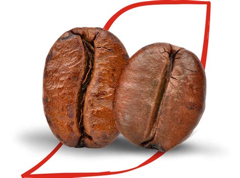 Dolce Gusto Espresso Intenso Kapsulleri | Nescafé Türkiye