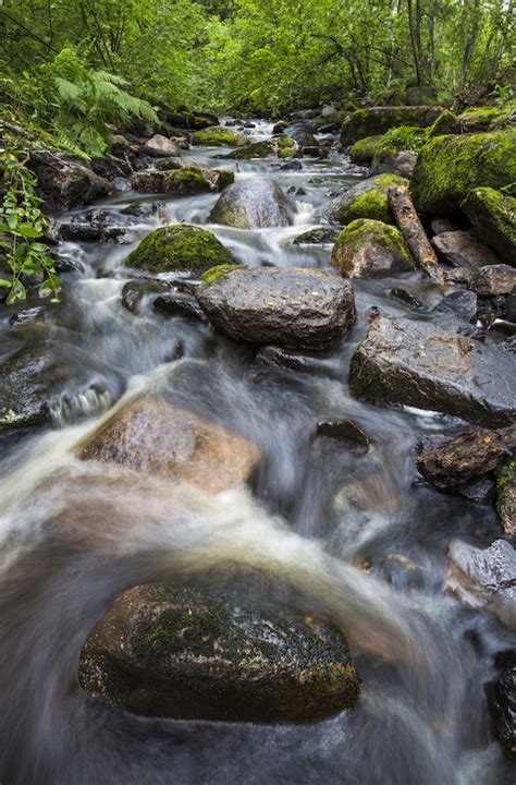 EKOenergy supporting "pearls of Finnish nature" - EKOenergy