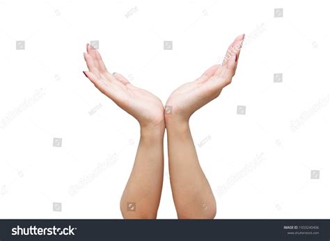 hand isolated  white stock photo  shutterstock