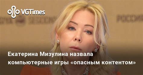 Екатерина Мизулина назвала компьютерные игры «опасным контентом ...