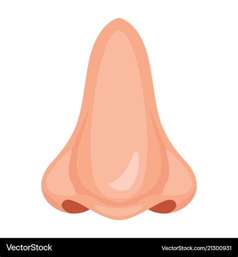 Human nose icon Royalty Free Vector Image - VectorStock