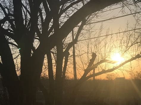 code orange air quality alert issued  monday  central pa