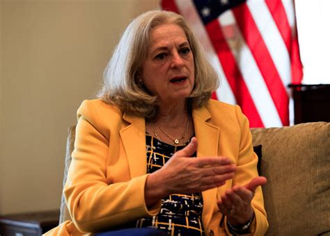 US Ambassador to Baghdad: Coalition's Work with Iraq to Fully Defeat ...