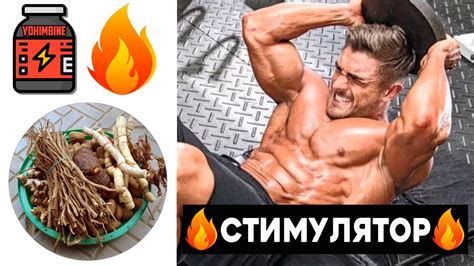 Самый Мощный Природный Жиросжигатель - YouTube
