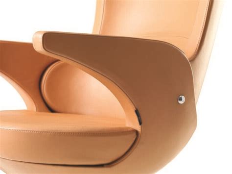 sit resting chair doga
