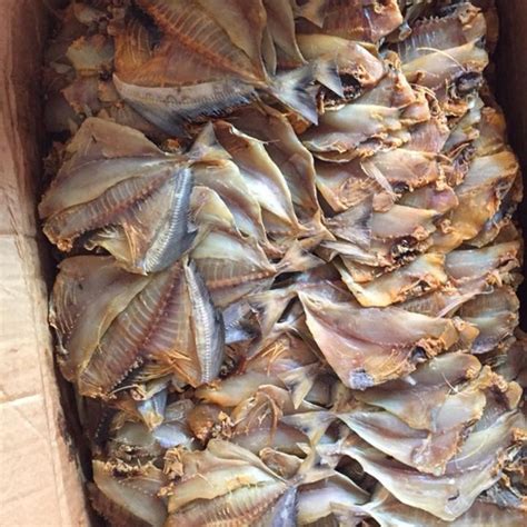 ca chim vietnam mart