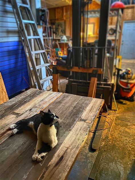 Monkey Blue On The Table | Knox Bronson