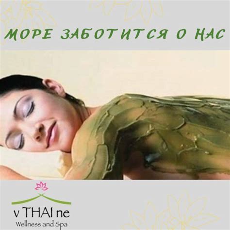 🍃Водорослевые обертывания сегодня считаются одной из наиболее ...