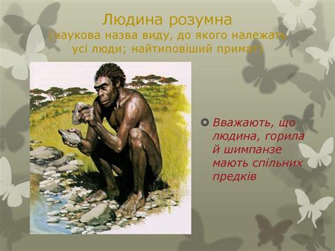 Ряд примати - презентация онлайн