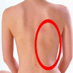 背中の痛みと内臓疾患について | 症状から診療科を探す | 健診会 東京メディカルクリニック
