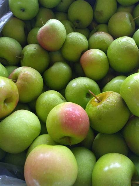 31 Different Types of Green Apple Varieties | Balcony Garden Web