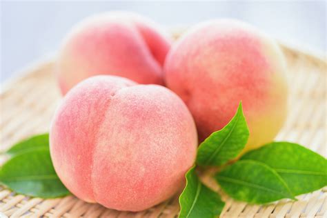 桃｜食べ頃はいつ？見分け方と綺麗なむき方・長持ちさせる保存方法まで一挙紹介｜Shufoo!プラス