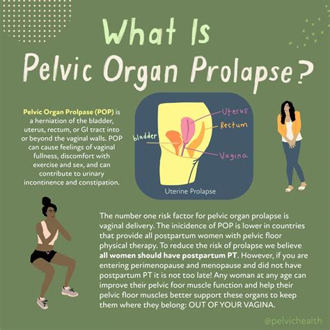 Understanding Pelvic Organ Prolapse and Incontinence | PHRC