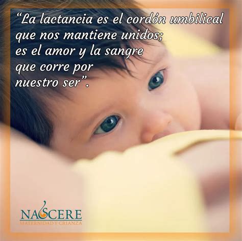 10 Frases de Lactancia Materna - Nascere - Maternidad y Crianza