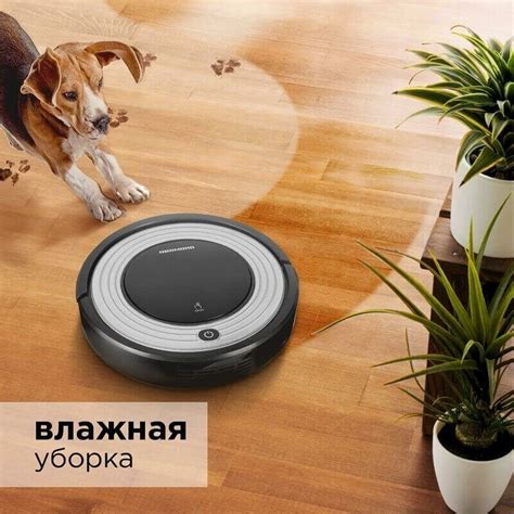 Робот-пылесос Redmond RV-R300 купить в Москве на NeAmazon