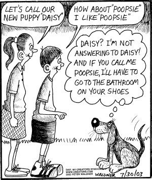 The good life: Some barnyard humor