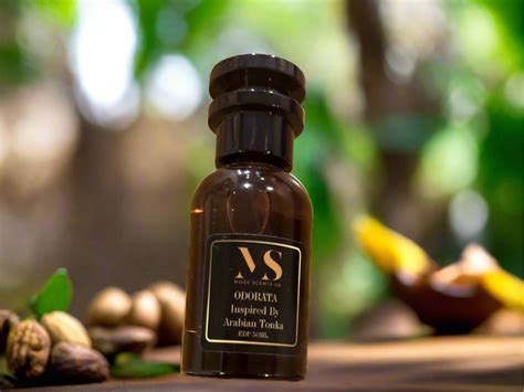 Inspired By Arabian Tonka - Odorata | 50 ML – MossScentsUk